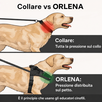 Orlena Walk - Pettorina Antitiro